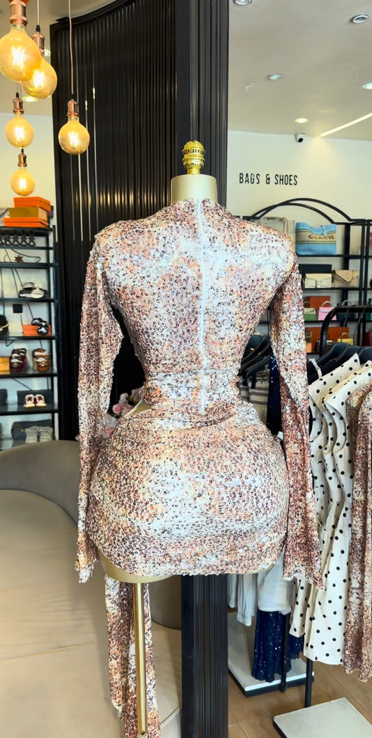 Brown sequence dress