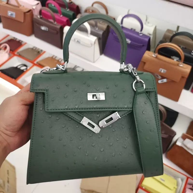 Birkin platinum bag